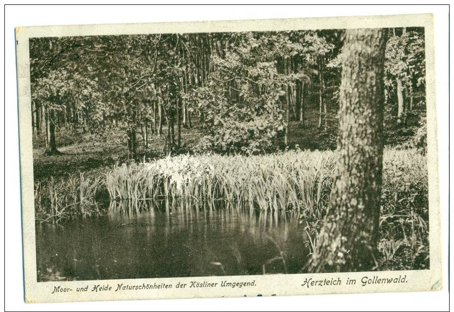 KOSLIN Umgegeng. Herzteich Im Gollenwald. - Pologne