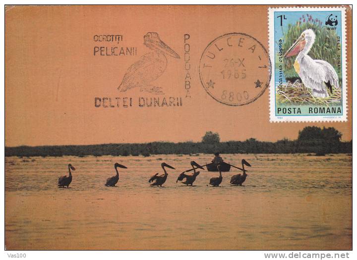 Pelicans Birds,1985,CM,maxicard,cartes Maximum  WWF Romania. - Pélicans