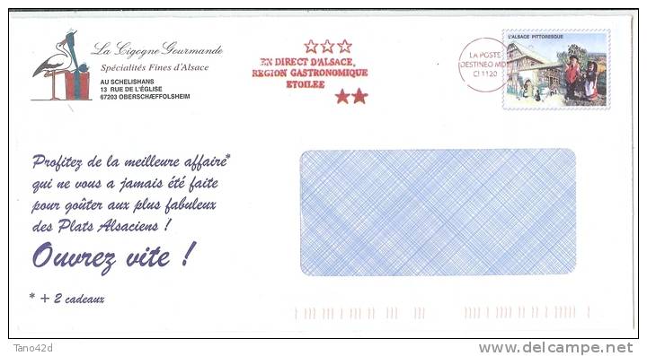 REF LDUF -PSEUDO ENTIER PRIVE "LA CIGOGNE GOURMANDE - L'ALSACE PITTORESQUE" - THEMES CIGOGNE OIE CANARD - Private Stationery