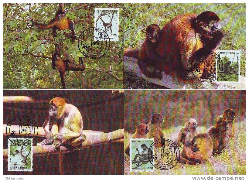 212bd: Geoffroy- Klammeraffe, 4 Maxicards Aus Honduras - Affen