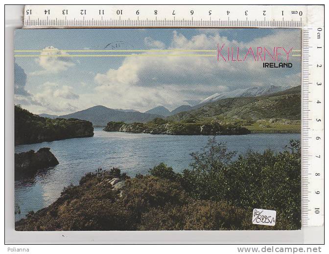 PO8225A# IRLANDA - KILLARNEY  VG 1991 - Kerry