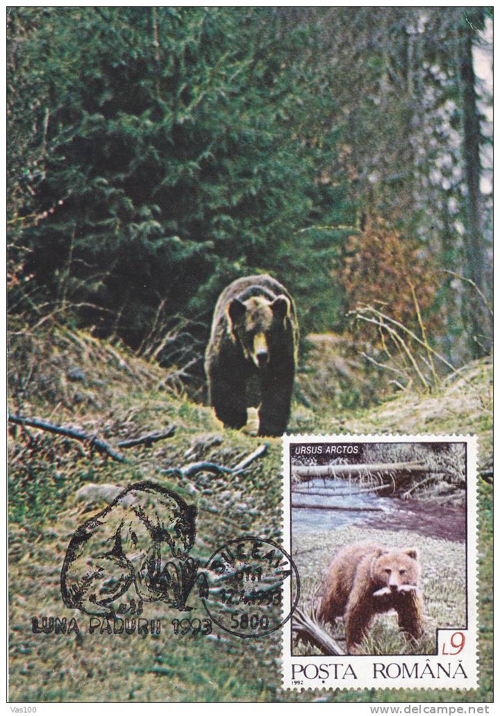 Bears Ours,1993 CM,maxicard,cartes Maximum Suceava - Romania. - Ours