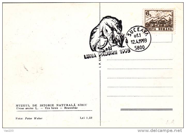 Bears Ours,1993 CM,maxicard,cartes Maximum Suceava - Romania. - Ours