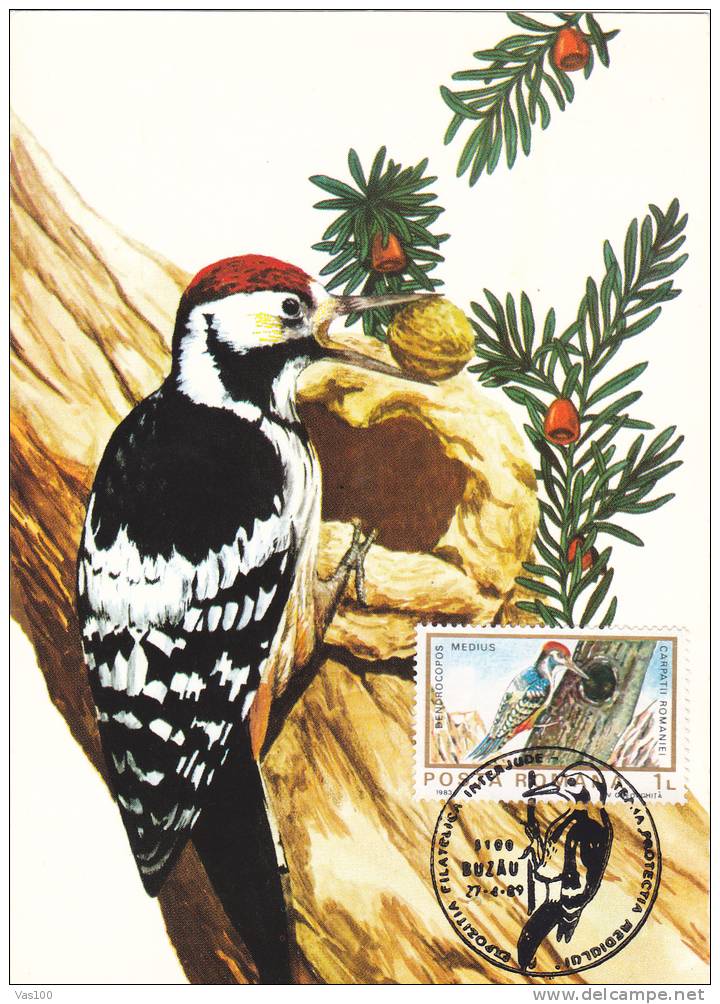 Maximum Card,"Dendrocopos Medius",Maxicard BIRD Woodpecker 1989, Nice, ROMANIA. - Spechten En Klimvogels