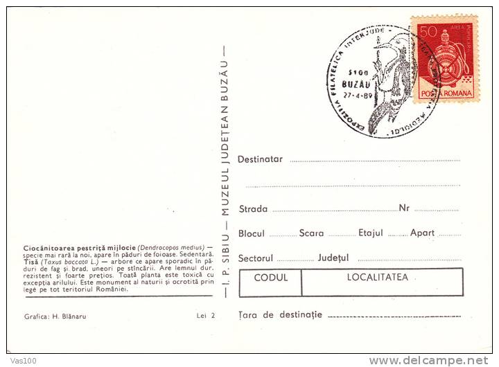 Maximum Card,"Dendrocopos Medius",Maxicard BIRD Woodpecker 1989, Nice, ROMANIA. - Spechten En Klimvogels