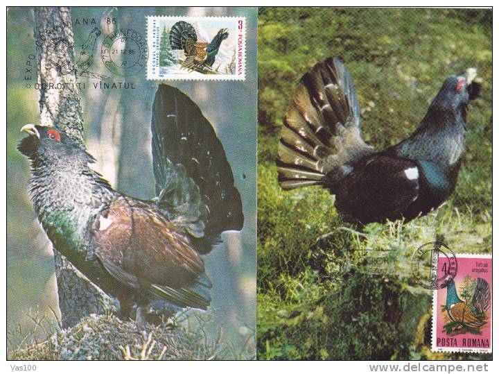 "Tetrao Urogallus", Cock, Rooster , Grouse,2X,1986,CM,maxicard,cartes Maximum Romania. - Gallinacées & Faisans