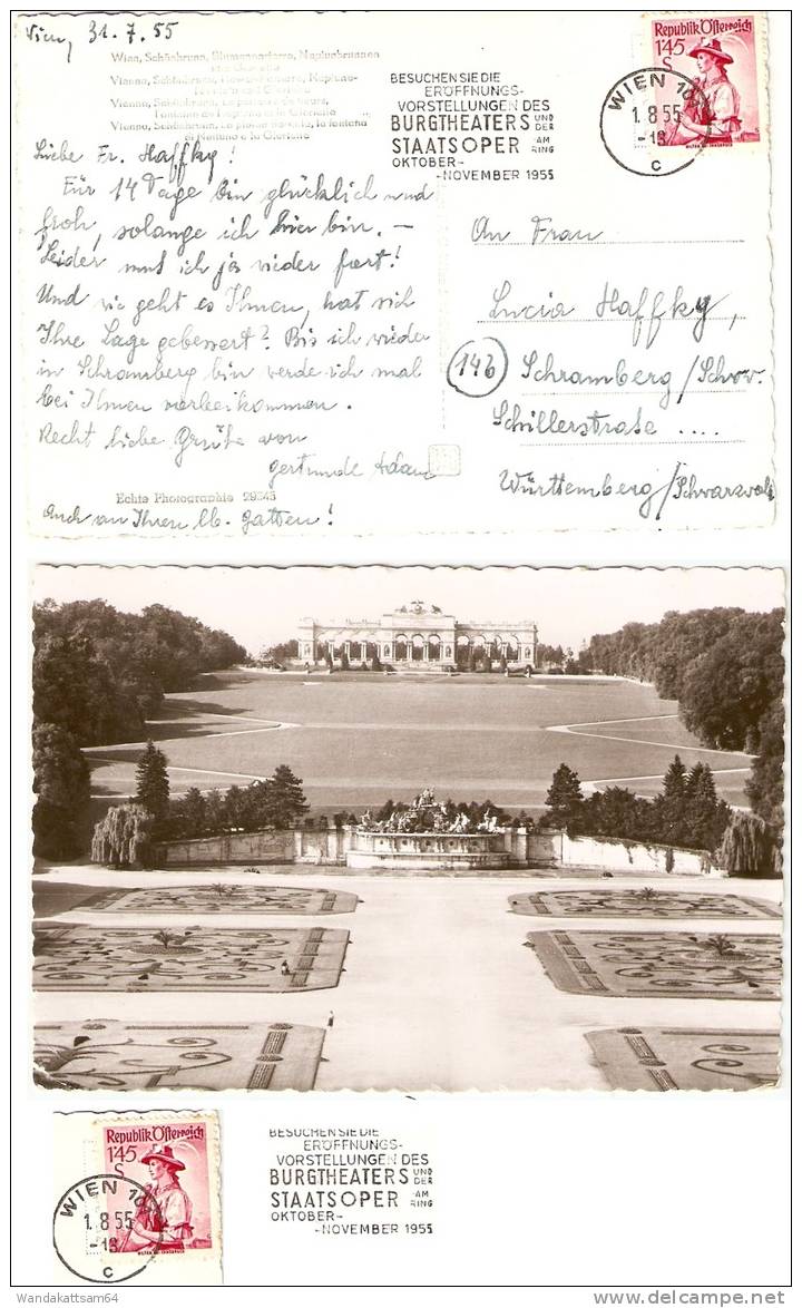 AK 29645 Wien, Schönbrunn, Blumenparterre, Neptunbrunnen Und Gloriette 1.8.55 - 13 WIEN 101 C Werbestempel BESUCHEN SIE - Palacio De Schönbrunn