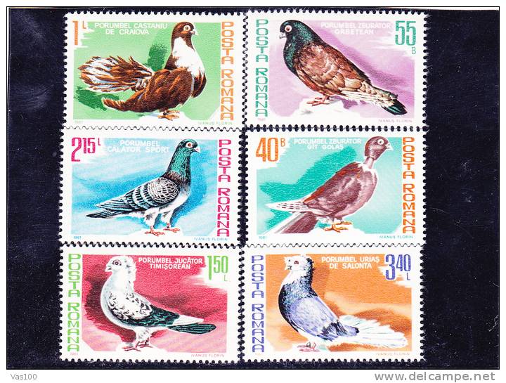 BIRD;PIGEON & COLUMBIFORMES 1981 ** MNH Mint Full Set, Romania. - Pigeons & Columbiformes