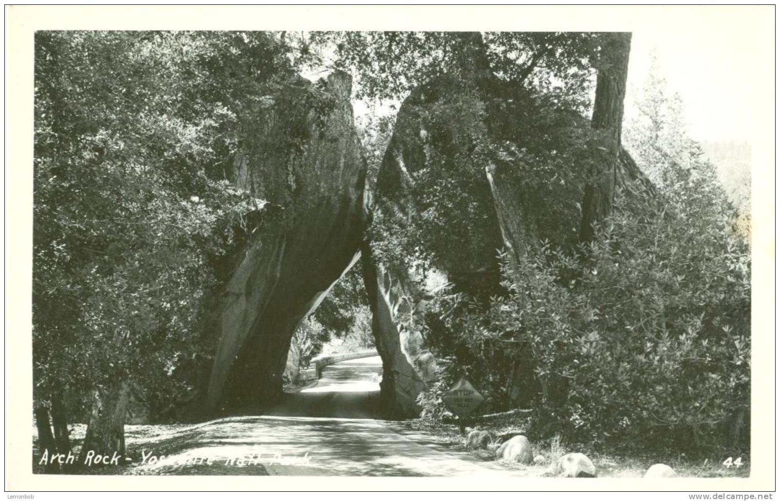 USA – United States – Arch Rock, Yosemite Park, Unused Real Photo RPPC Postcard [P4602] - Yosemite