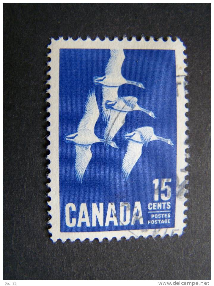 THEME ANIMAUX FAUNE OISEAU OIE CANADA - Oche