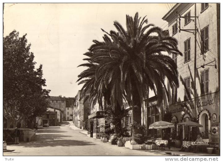 COGOLIN LES PALMIERS DE LA PLACE DE LA REPUBLIQUE RESTAURANT CAUVET - Cogolin