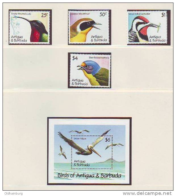 213ay: Antigua- Barbuda, Exotische Vögel, Pelikan- Block ** - Pelikane