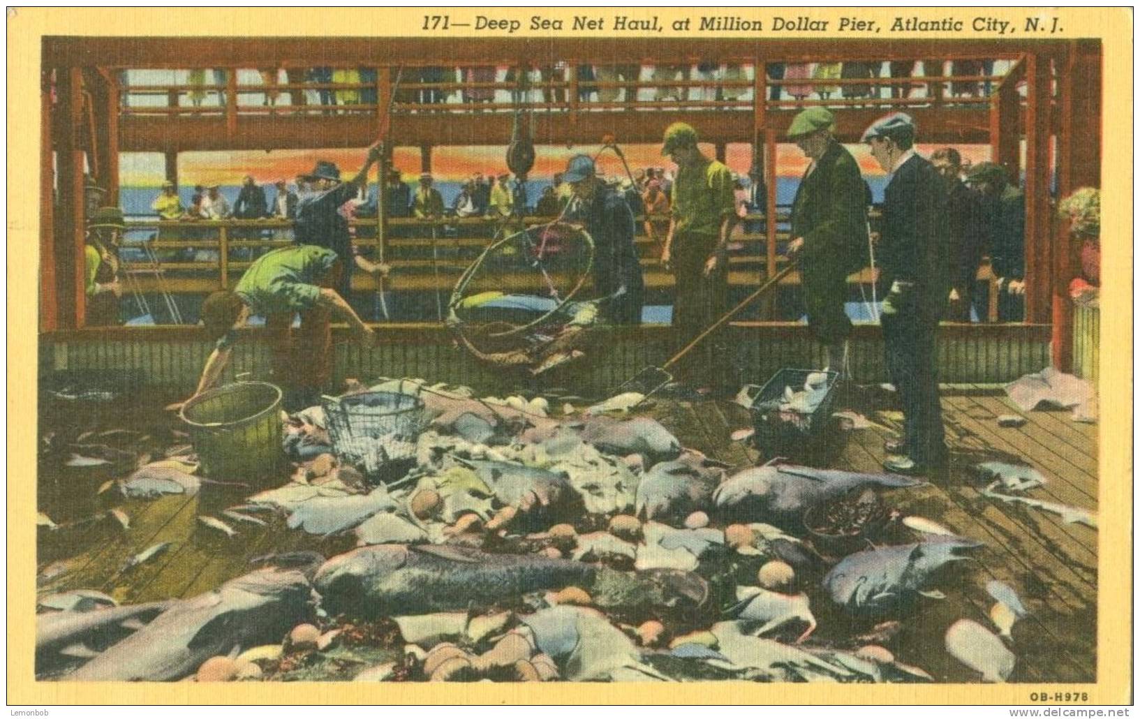 USA – United States – Deep Sea Net Haul, Million Dollar Pier, Atlantic City, NJ, 1946 Used Linen Postcard [P4640] - Atlantic City