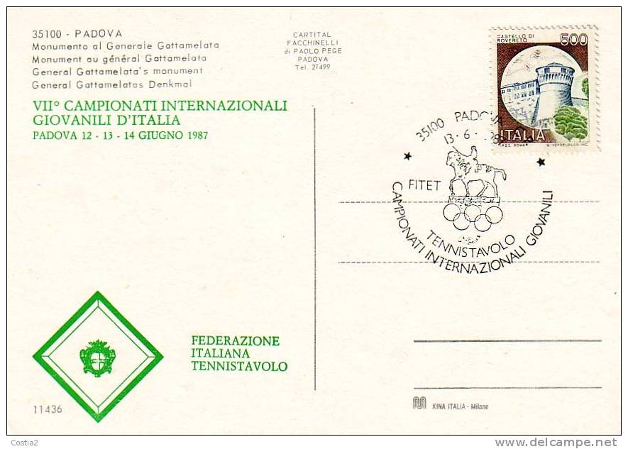 Table Tennis Italy Special Cancel 1987 On Card - Tennis De Table