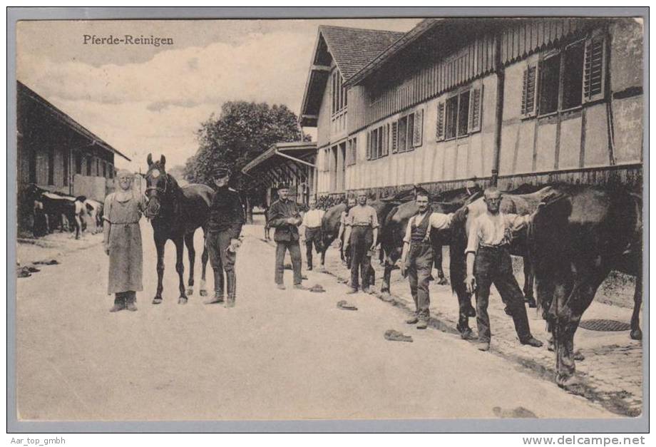 TG Frauenfeld Kaserne 1917-02-23 Foto Pferde Reinigen A.Dieschberger - Frauenfeld