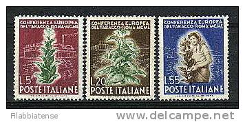 1950 - Italia 629/31 Conferenza Del Tabacco - Tobacco