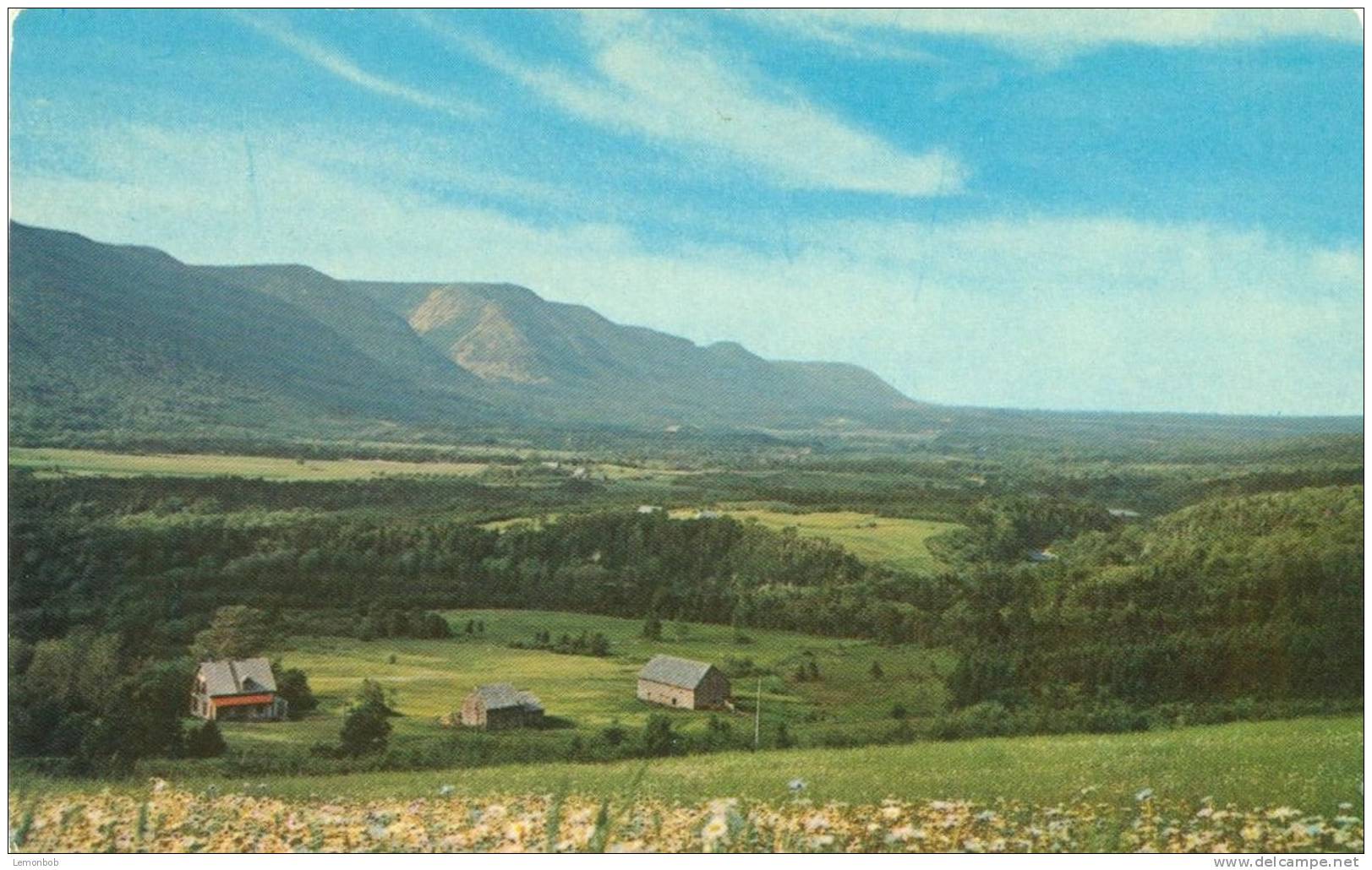 Canada – Cabot Trail, Cape Breton, Nova Scotia, Unused Chrome Postcard [P4652] - Cape Breton