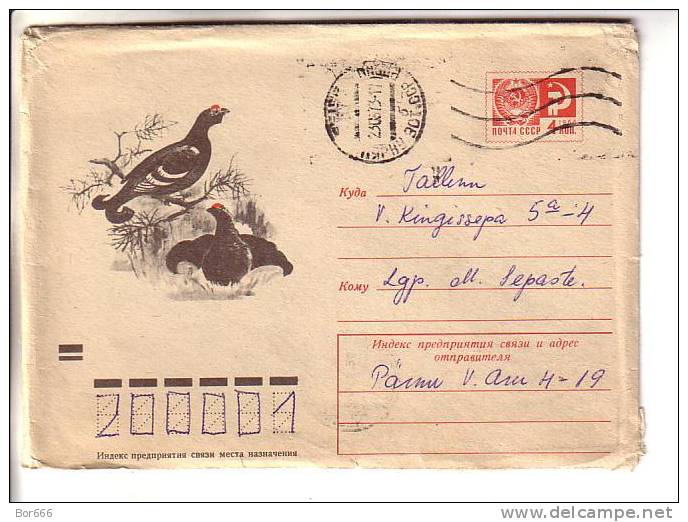 GOOD USSR Postal Cover 1973 - Birds - Gallinacées & Faisans