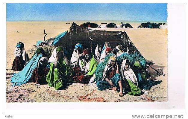 ALGERIE - Campement De Nomades Au Désert - Angola