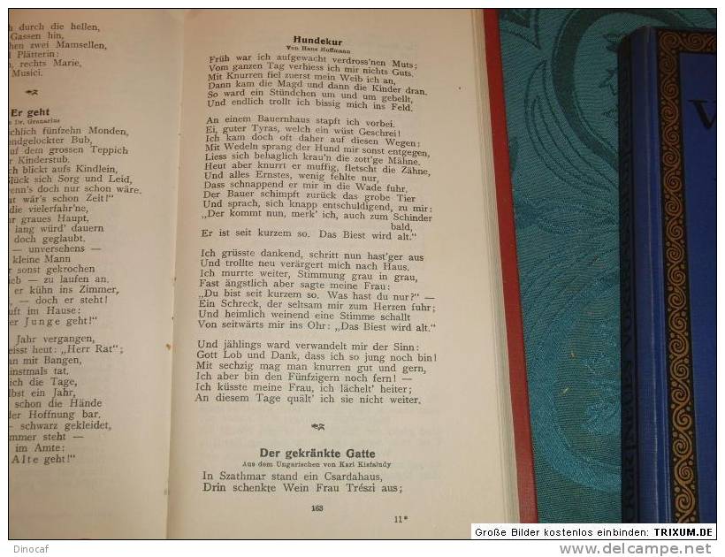 Neues Vortragsbuch Vom Guten Das Beste 2 Bd. 1913-14, 256 + 250 Seiten - Altri & Non Classificati