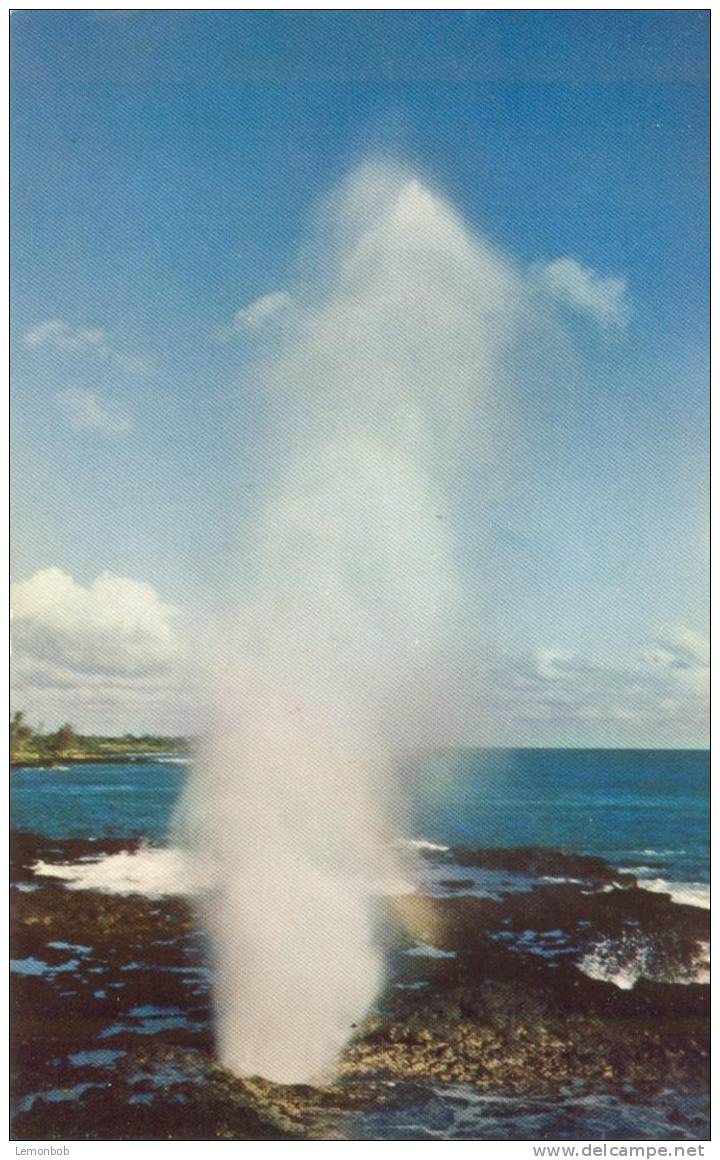 USA – United States – Spouting Horn, Kauai, Hawaii, Unused Postcard [P4703] - Kauai