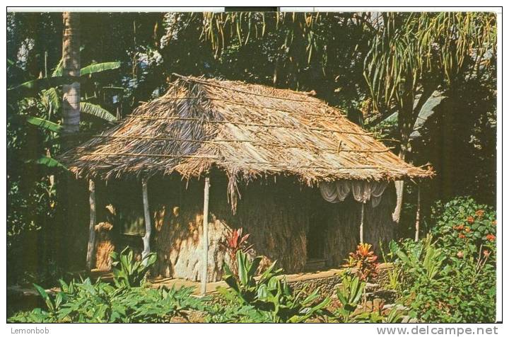 USA – United States – The Waioli Tea Room, Manoa Valley, Honolulu, Hawaii, Unused Postcard [P4729] - Honolulu