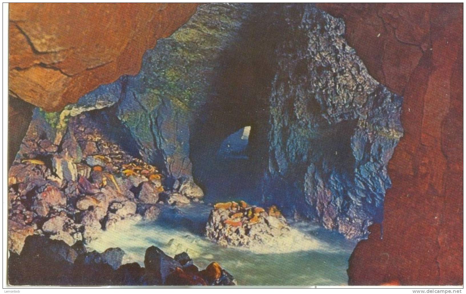 USA – United States – Sea Lion Cave, Oregon Coast, Unused Postcard [P4732] - Other & Unclassified