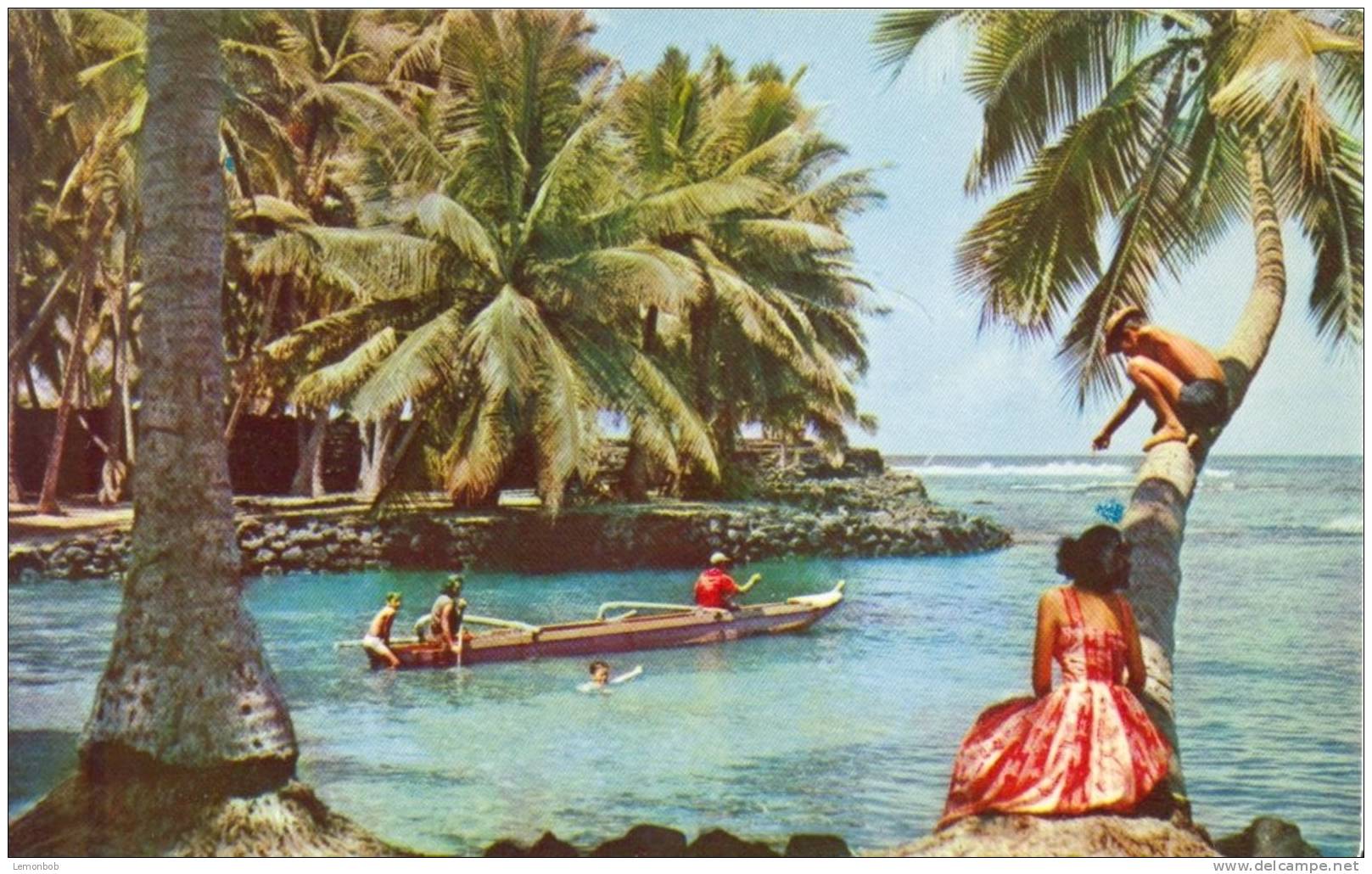 USA – United States – Honaunau, Kona Coast, Hawaii,  Unused Postcard [P4751] - Other & Unclassified