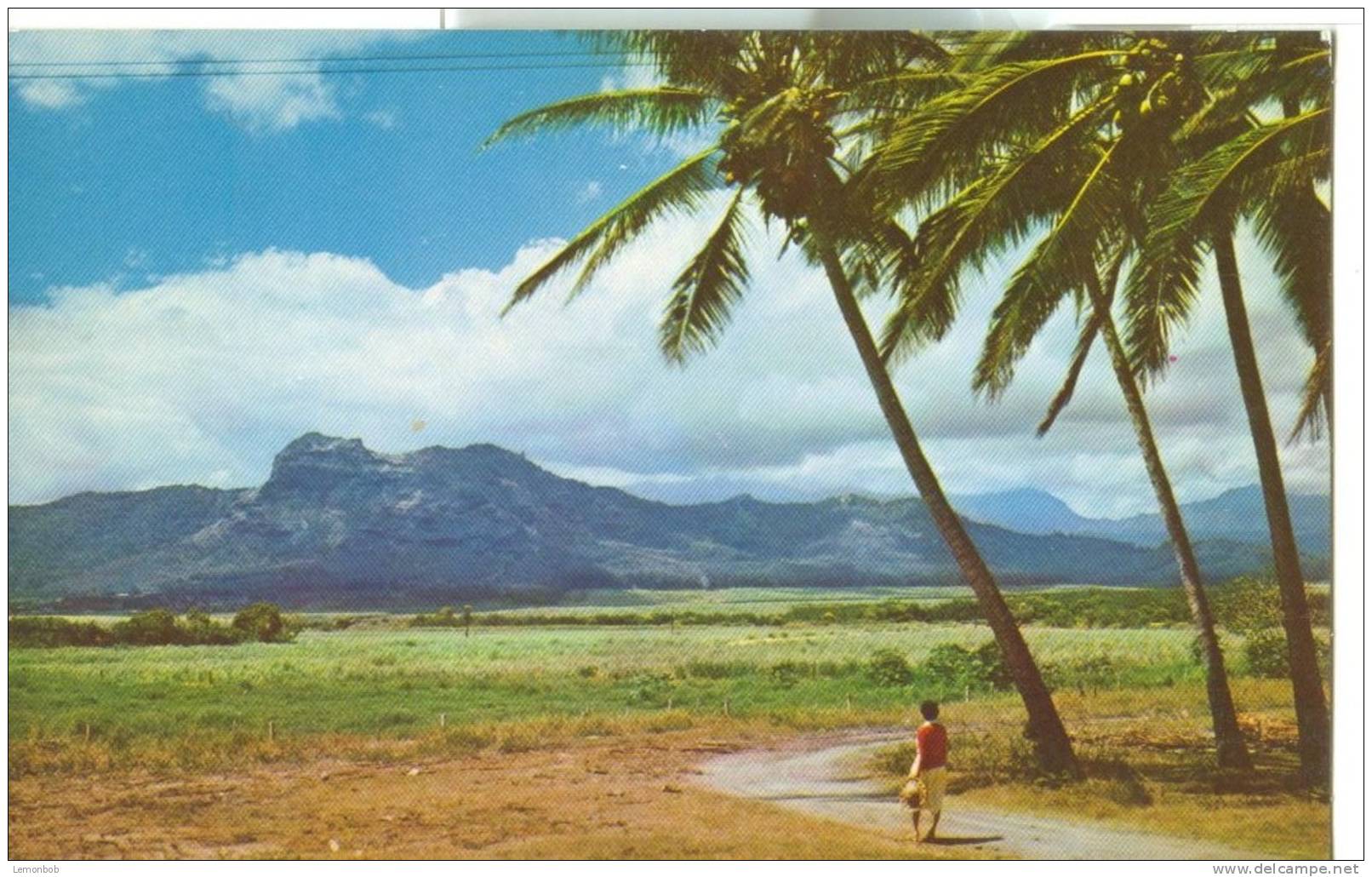 USA – United States – Sleeping Giant, Kapaa, Kauai, Hawaii, Unused Postcard [P4757] - Kauai