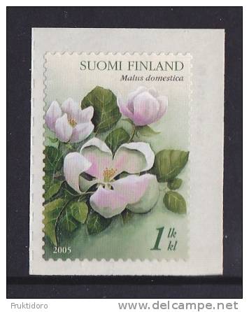 Finland Mi 1744 * * Apple Blossom 2005 - Unused Stamps