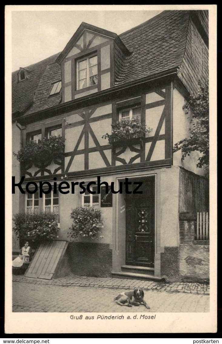 ALTE POSTKARTE GRUSS AUS PÜNDERICH BEI ZELL MOSEL Landkreis Cochem Mit Hund Dog Chien Schneiders Wein Ansichtskarte Cpa - Zell