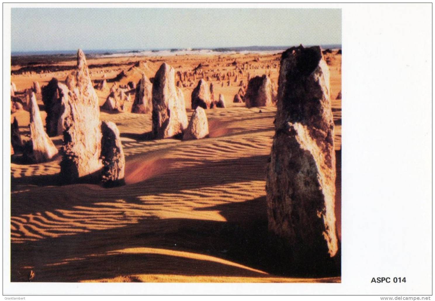 Australia  Western Australia - The Pinnacles In The Nambung National Park Unused - Autres & Non Classés