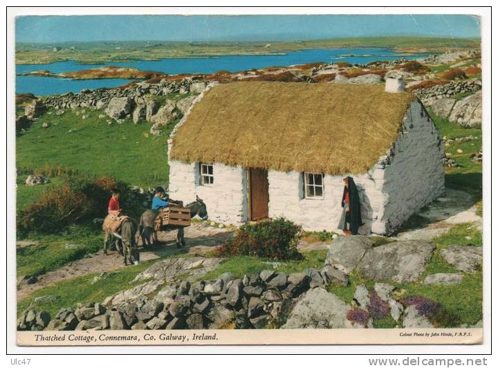 - Thatched Cottage, Connemara, Co. Galway, Ireland.  - Scan Verso - - Galway