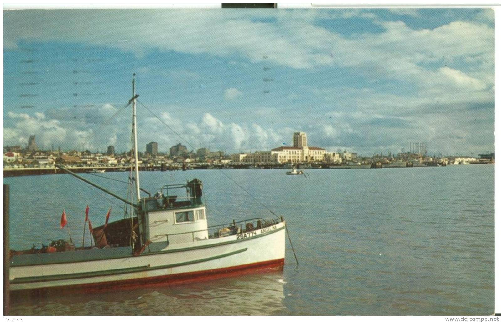 USA – United States –  San Diego Skyline From Bay, California 1960 Used Postcard [P4825] - San Diego