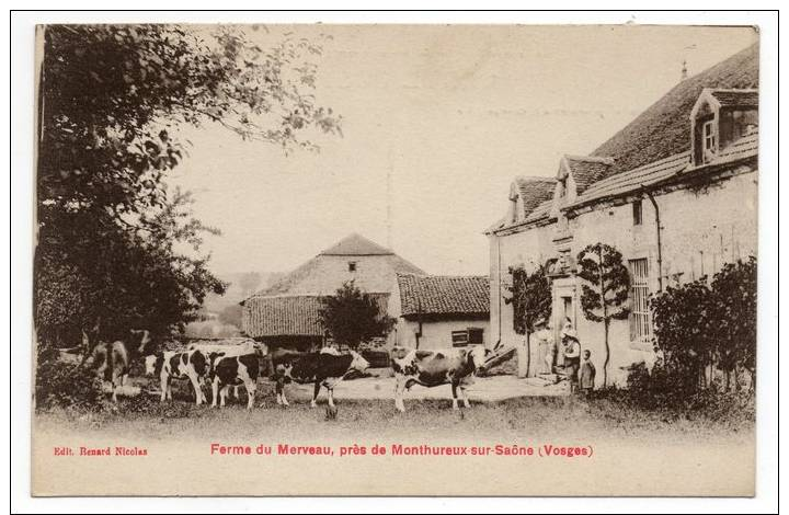 Ferme Du Merveau Près De Monthureux Sur Saône - Monthureux Sur Saone