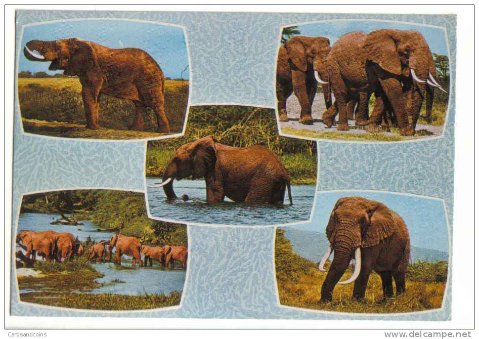 Elephants Used 1981  ( Stamps Marke  Timbres ) ( Stamp Amethyst ) - Kenia