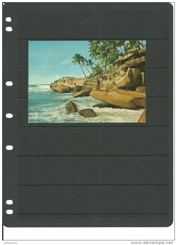 Carte Postale De Seychelles - Seychelles (1976-...)