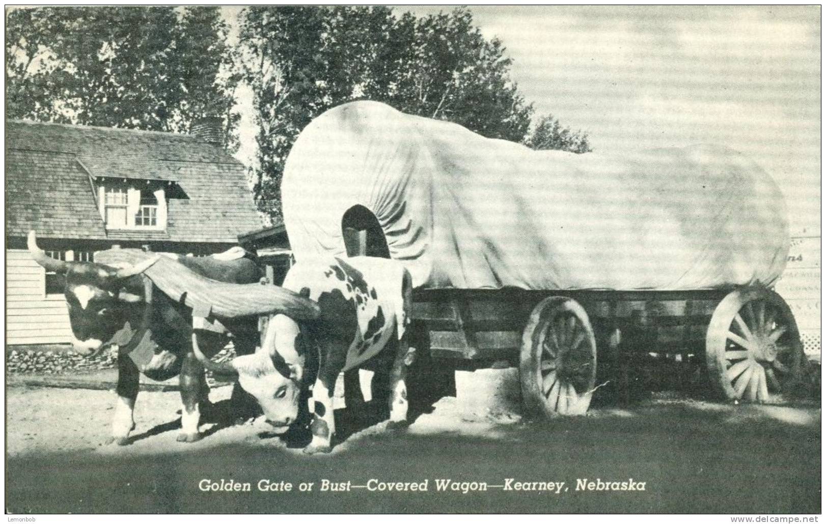 USA – United States – Golden Gate Or Bust, Covered Wagon, Kearney, Nebraska Unused Postcard [P4850] - Kearney