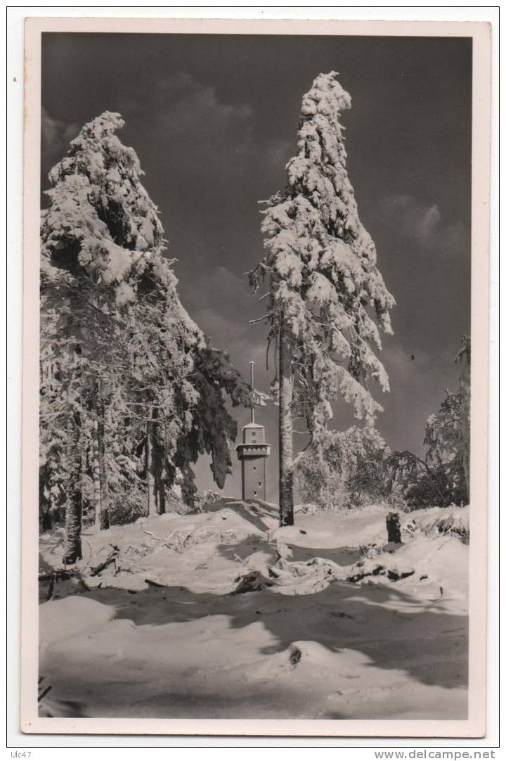 - Gr. Feldbert I. Taunus 881 M - Carte Photo - Scan Verso - - Feldberg