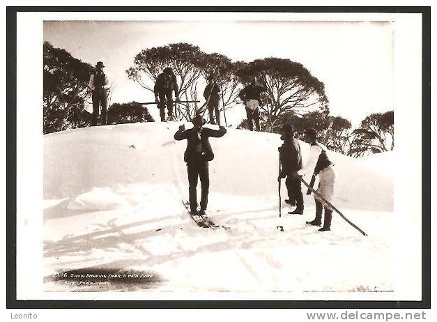 Charles Kerry Art Gallery Sydney Australia Snow Shoeing Over A High Jump 1995 - Sydney