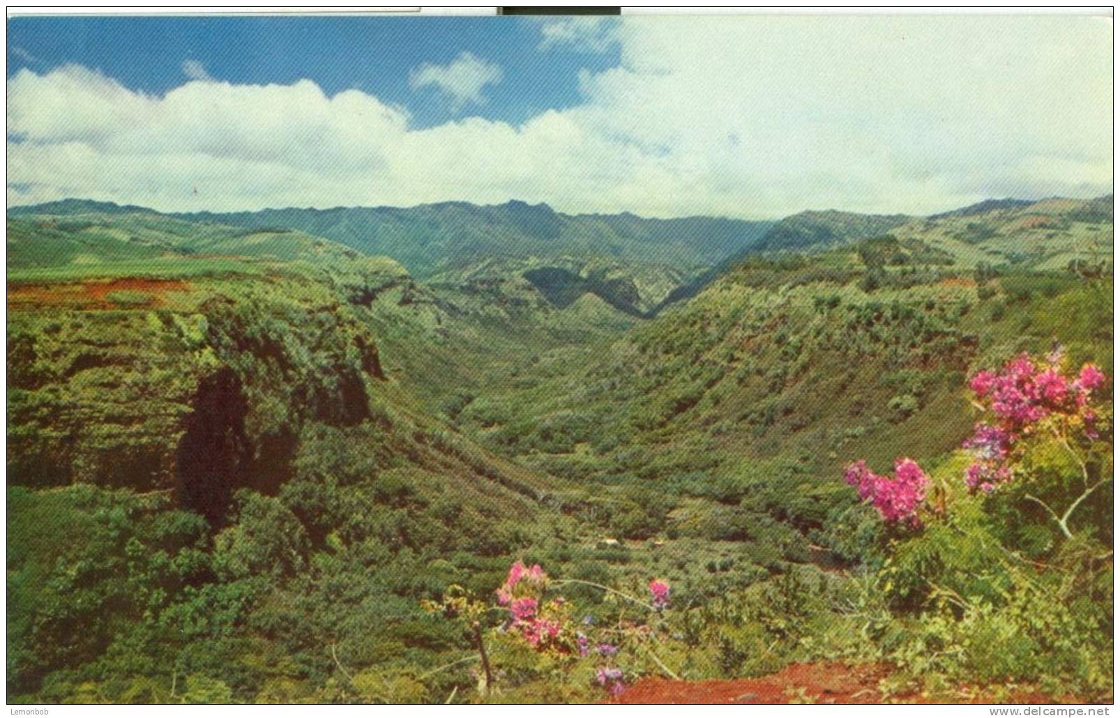 USA – United States – Hanapepe Valley, Hawaii,  Unused Postcard [P4875] - Autres & Non Classés