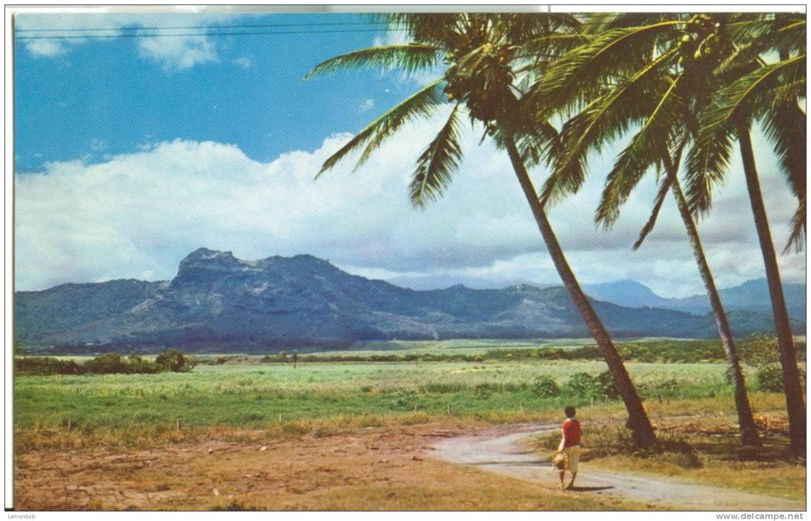 USA – United States –Sleeping Giant, Kapaa, Kauai, Hawaii, Unused Postcard [P4876] - Kauai