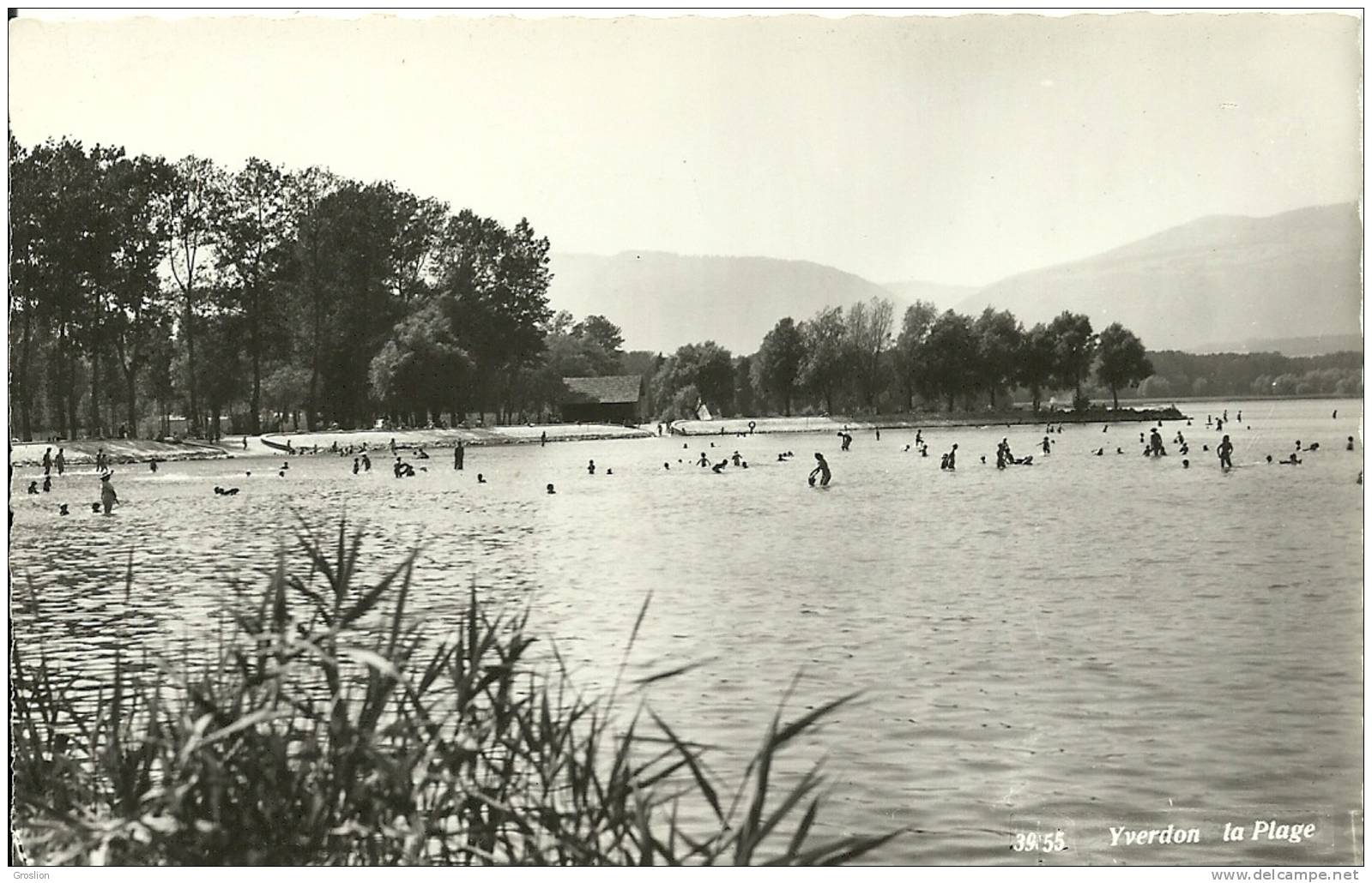 YVERDON LA PLAGE 39 55 - Yverdon-les-Bains 