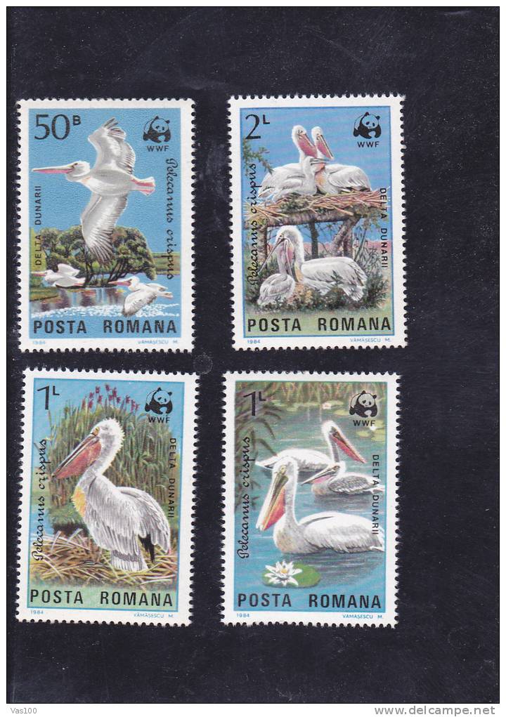 Birds;WWF;Pélicans,Pelican,1984 Full Set,  ** MNH,Romania. - Pelikane