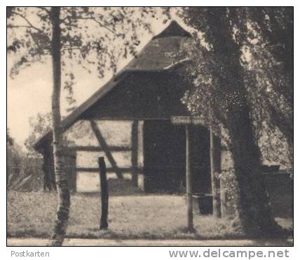 ALTE POSTKARTE ZINGST BISMARCKSTRASSE 1940 Bei Barth Ribnitz-Damgarten Prerow Allee Alley Bauernhaus Farm House Cpa AK - Zingst