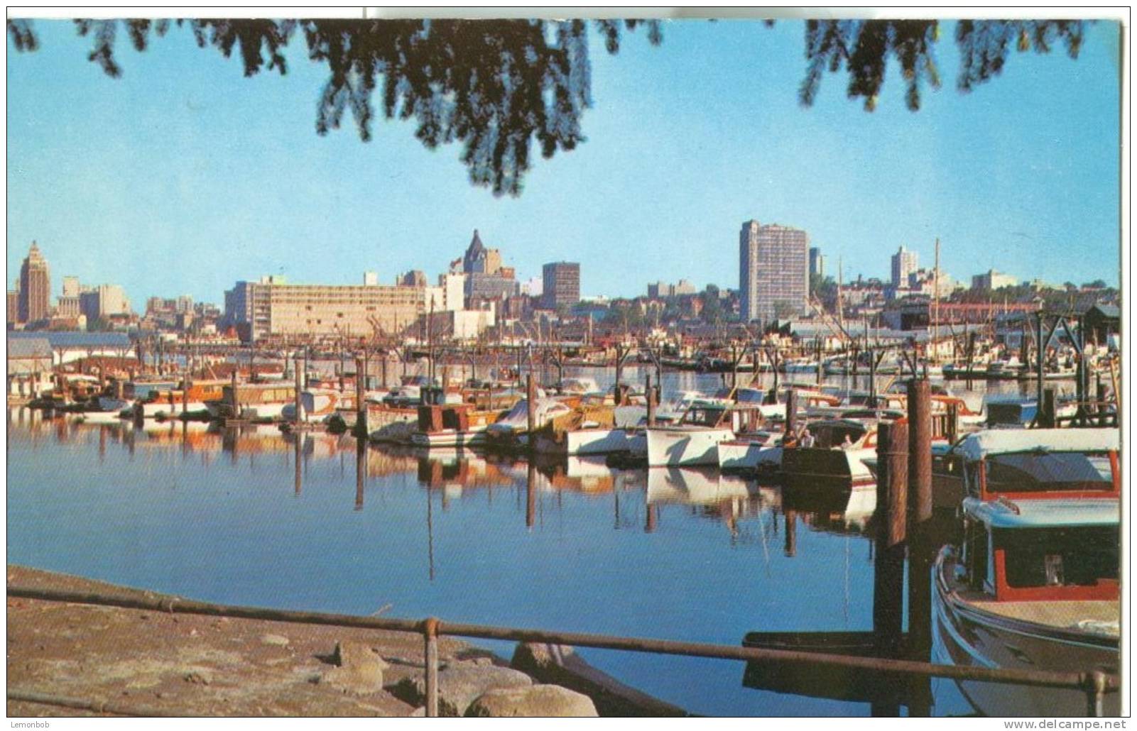 Canada  – Vancouver, BC, Harbour And Pleasure Boats, Unused Postcard [P4904] - Vancouver