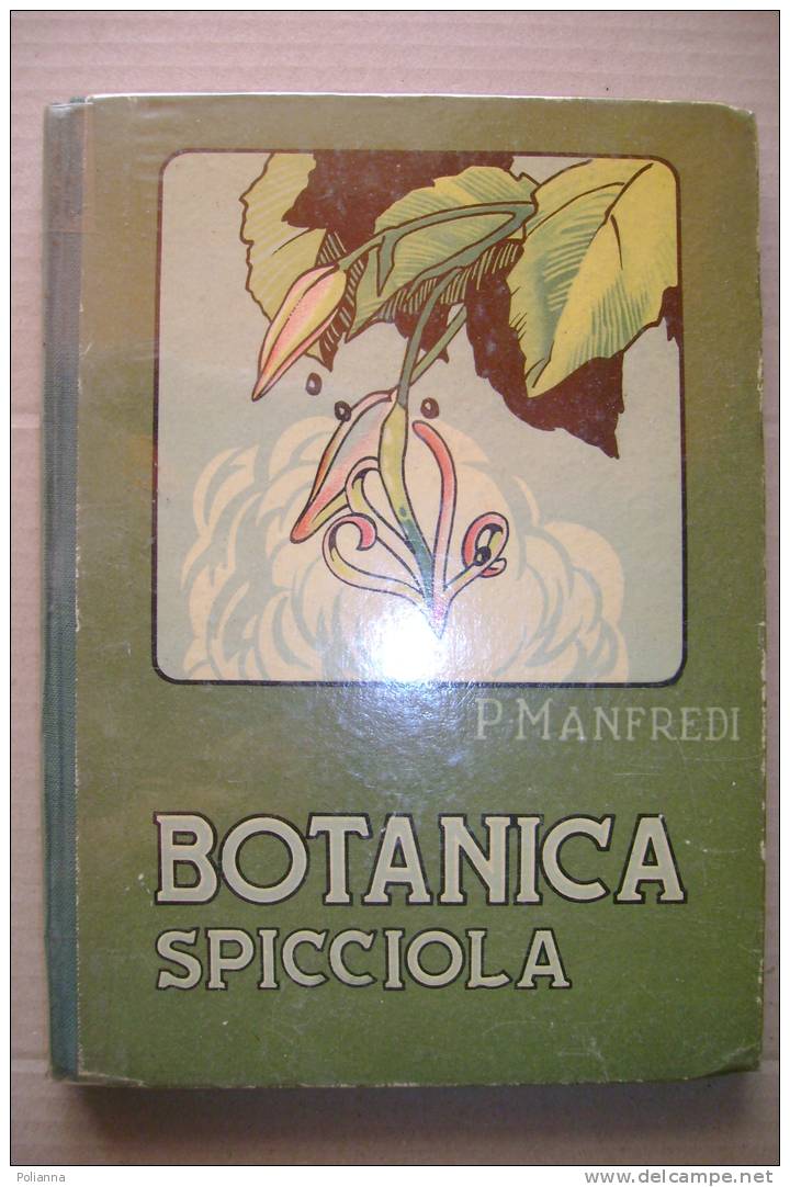 PDY/14 Manfredi BOTANICA SPICCIOLA Vallardi 1945/Piante/paesaggi Montani/alberi/Cipresso Millenario Di Somma Lombardo - Garten