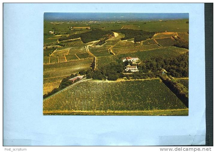 Chateauneuf Du Pape - Domaine Pierre Quiot - Château Maucoil - Chateauneuf Du Pape