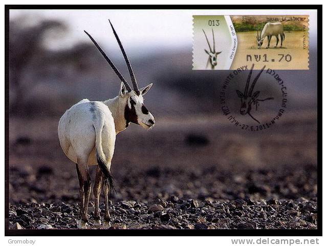 Israel 2011 White Oryx ATM 013 MC ,maximum Card (1) - Tarjetas – Máxima