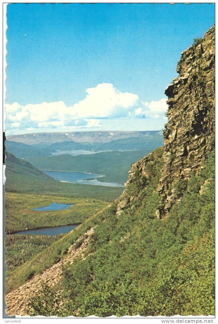 Canada – In Gros Morne National Park, Newfoundland, Unused Postcard [P4991] - Other & Unclassified